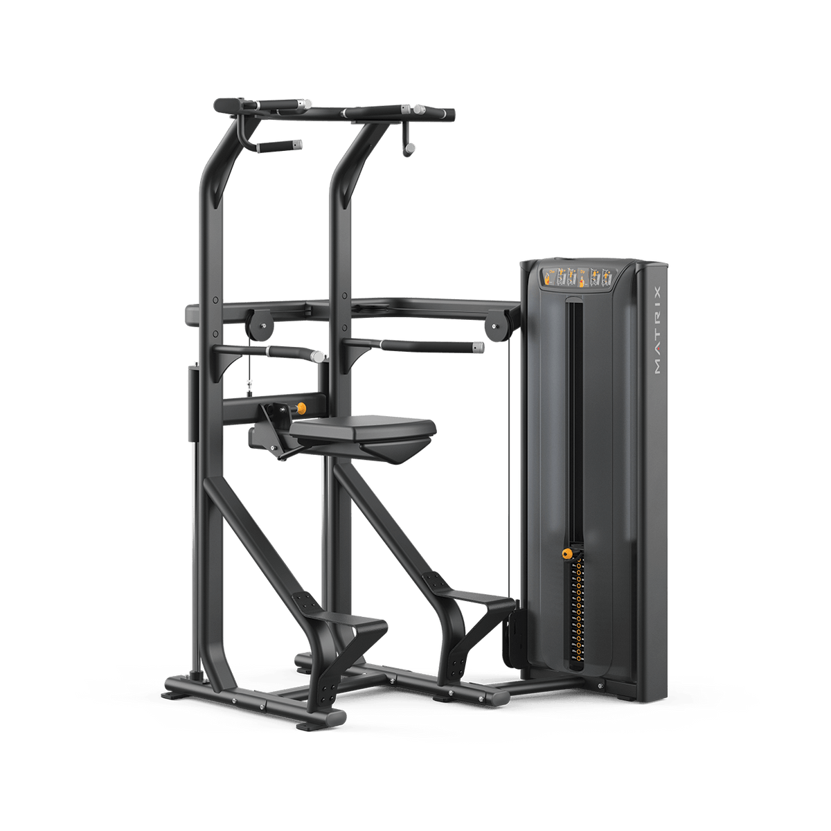 Matrix Assist Rails Matrix Versa Chin / Dip Assist – Johnson Health Tech New Zealand
